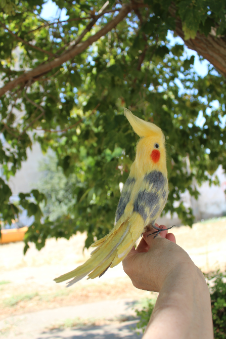 Корелла попугай іграшка валяна реалістична пташка інтерєрна подарунок Одеса - зображення 6