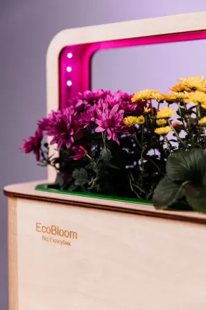 EcoBloom Smart Garden Розумний сад вдома Одеса