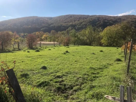 Земельна ділянка 10 сот в смт Чинадієво Мукачево