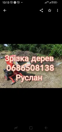 Зрізка дерев Белая Церковь - изображение 1
