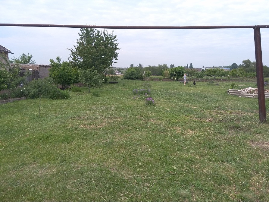 Земельна ділянка 25 соток, 12 км від м.Кривий Ріг Кривий Ріг - зображення 3