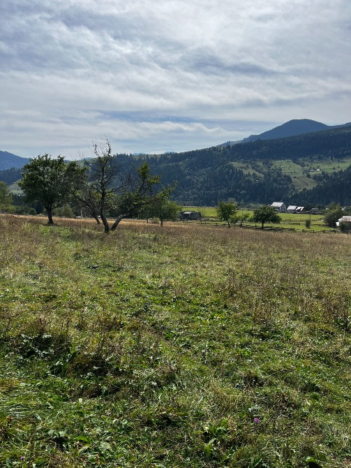 Продаж земельної ділянки 80 соток у Карпатах – с. Ільці, Верховинський Ивано-Франковск - изображение 8