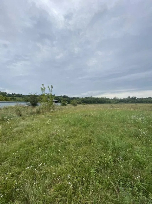 Продаж земельної ділянки 20 сот. під забудову – с. Острів Тернополь - изображение 2