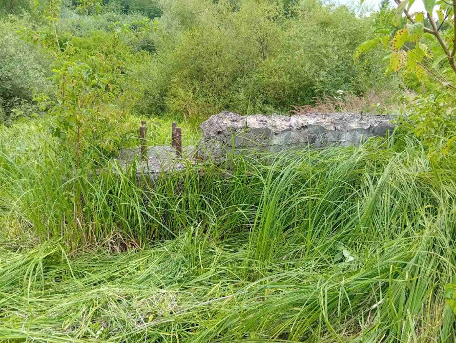 Продаю незавершене будівництво пром будівлі, ділянка 1, 5 га, Свалява Свалява - зображення 6