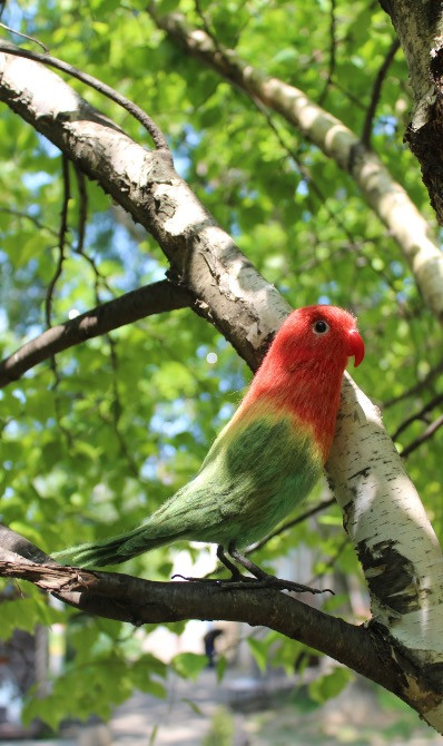 Неразлучник попугай валяна іграшка з шерсті папуга інтерєрєрна игрушка Одеса - зображення 5