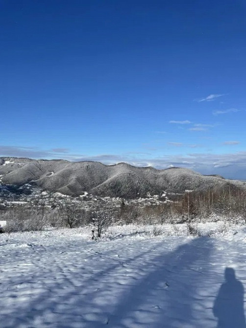 Земельна ділянка 2, 3 га з видом на Карпати, біля Вижниці Вижница - изображение 8