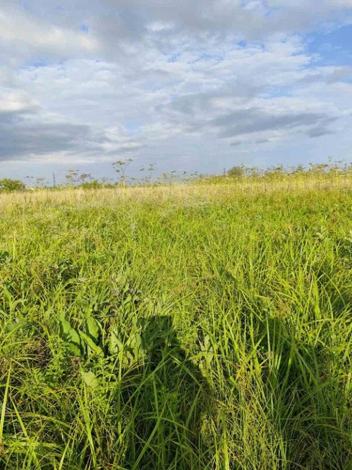 Земельна ділянка під забудову Сороки-Львівські Львов - изображение 3