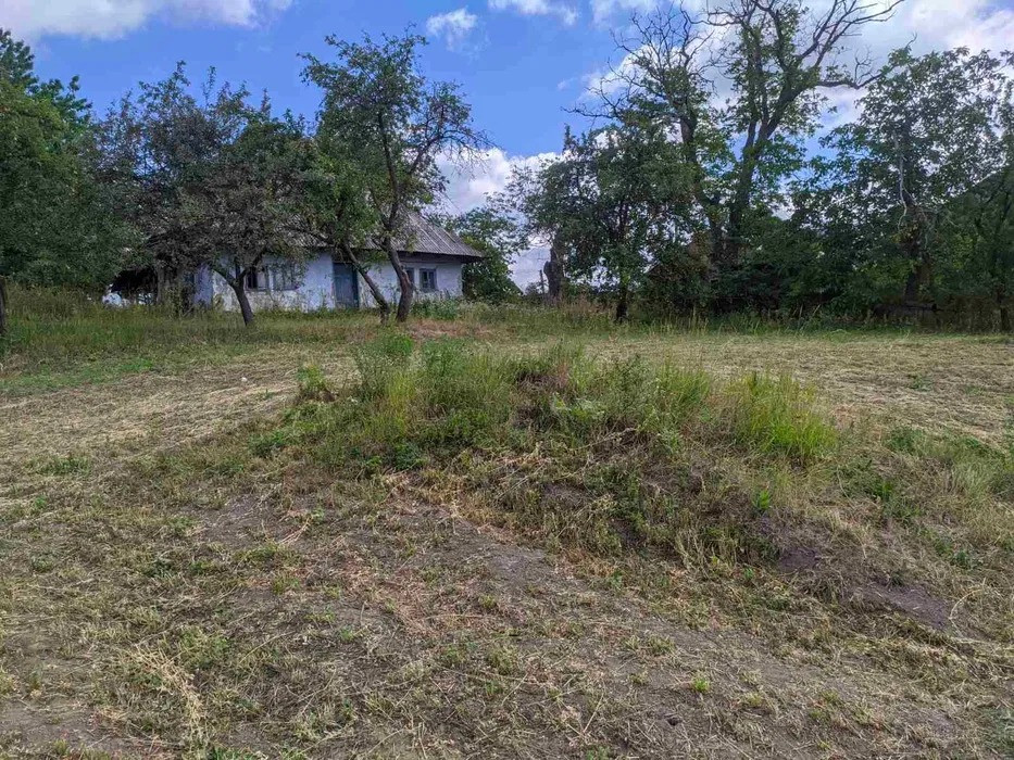 Продається приватизована земельна ділянка 0, 25 га в с. Куликівка Черновцы - изображение 1