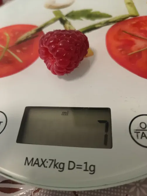 Саджанці малини ремонтантної високоврожайної Луцьк - зображення 8