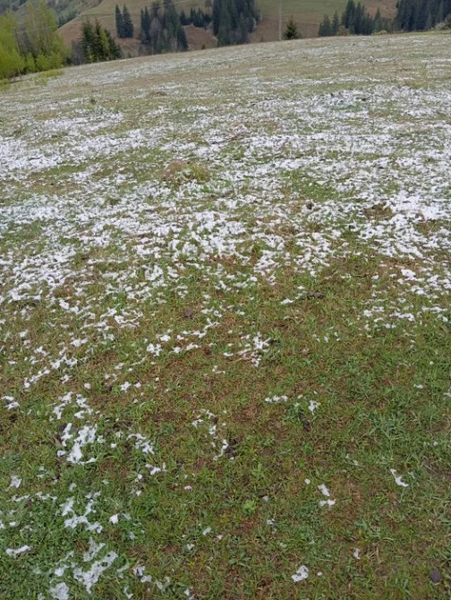 Продаж ділянки 94 сотки у Верховині, краєвид, комунікації Ивано-Франковск - изображение 4