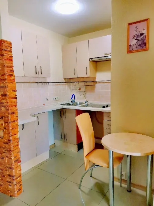 Продам видовую 1 ком/кв низ пр.Поля/ Центр/ Реальная Дніпро - зображення 4