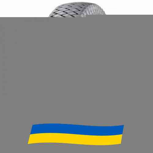 10 R20 Росава БЦИ-185 146/143K Универсальная шина Київ