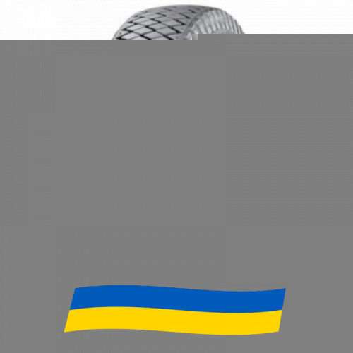 10 R20 Росава БЦИ-185 146/143K Универсальная шина Київ - зображення 2