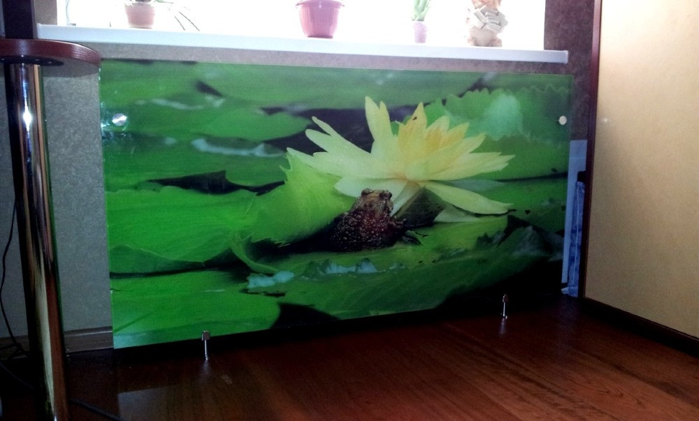 Скляні скіналі Київ - зображення 4