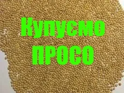 Купуємо Просо жовте Золотоноша - зображення 1