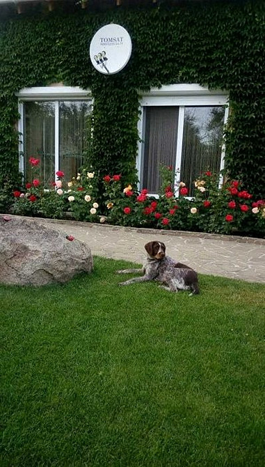 Продам будинок в мальовничому місті с. Кийлів Бориспіль - зображення 7