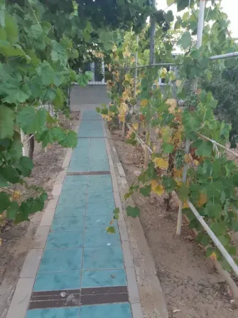 Продам гараж-дом Білгород-Дністровський - зображення 11
