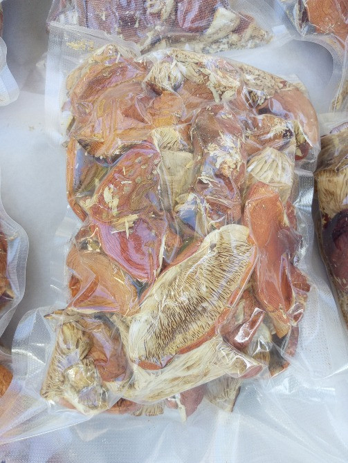 Мухомор червоний 2024 Черкаси - зображення 6