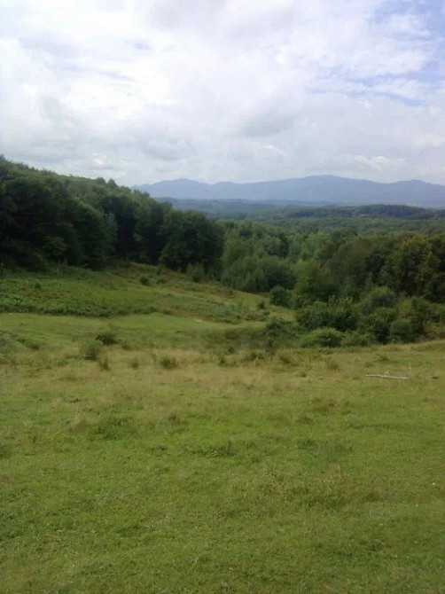 Земельна ділянка 1га Хуст - зображення 1