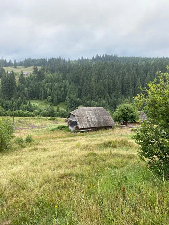 Земельна ділянка у Карпатах (унікальний перетин Трьох областей Долина - изображение 11