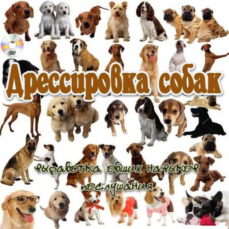 Приглашаем в клуб собаководства Суми - зображення 3