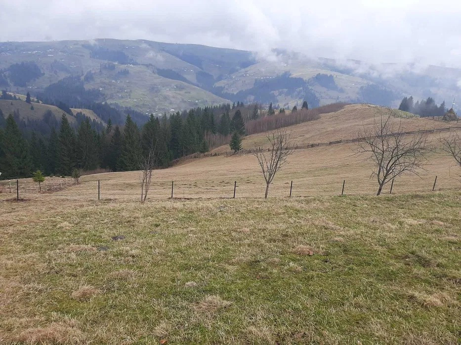 Продається земельна ділянка під будівництво с.Голови Ивано-Франковск - изображение 6
