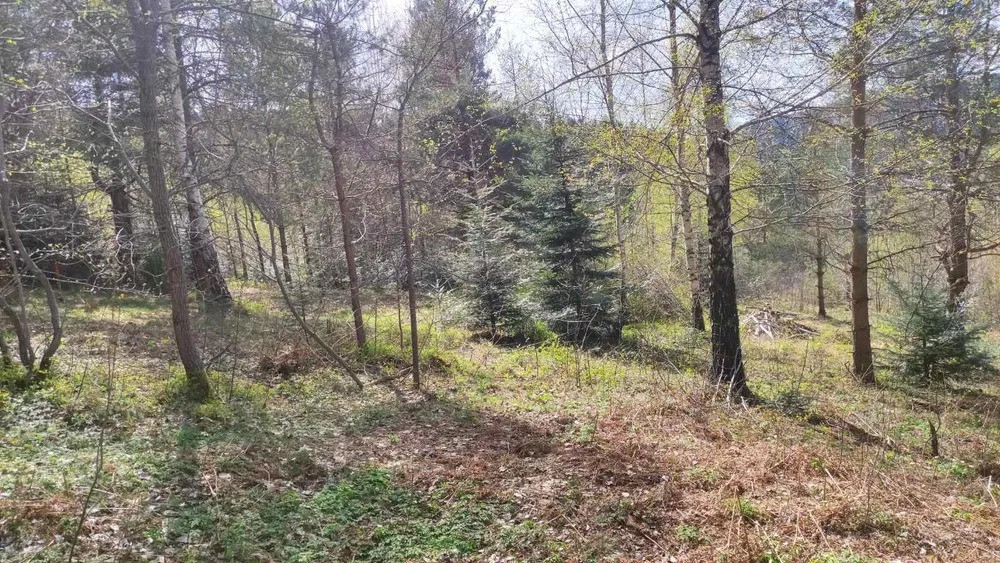 Продам земельну ділянку в м. Східниця під забудову — 9 сотих Борислав - изображение 1