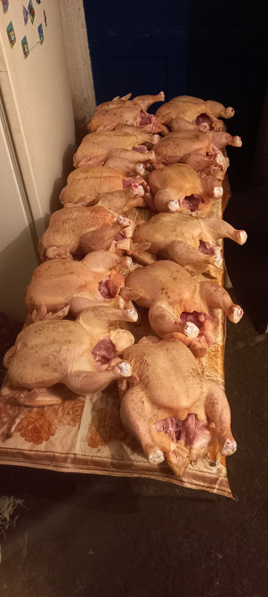 Продам тушку бройлера Новомосковськ - зображення 3