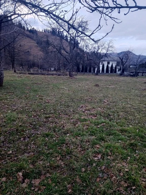 Продам участок на Прикарпатті Черновцы - изображение 6