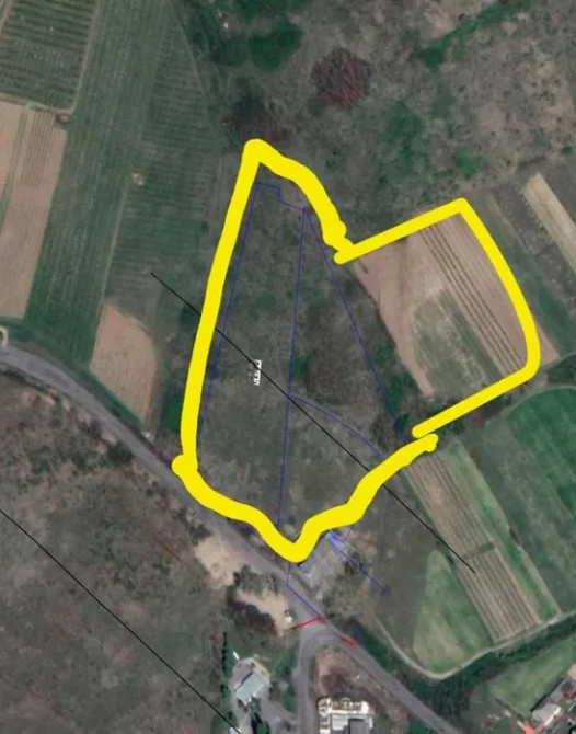 Земельна ділянка 3, 3 га Берегове - зображення 3