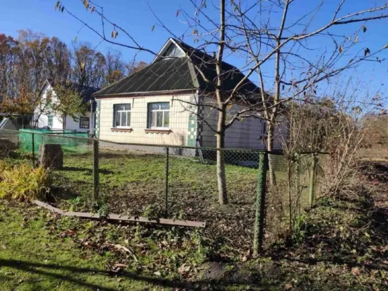 Продам дом в с. Шамраевка, Киевская область Біла Церква