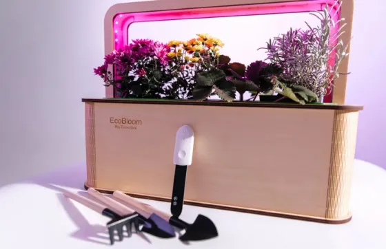 EcoBloom Smart Garden Розумний сад вдома Одеса