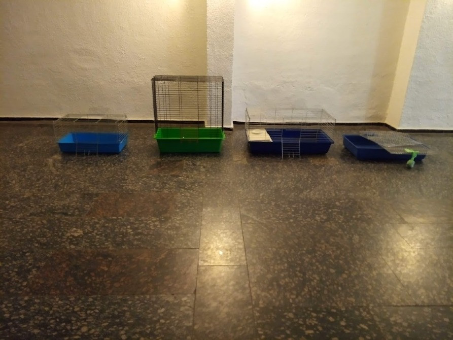 Клітки для домашніх гризунів (кролів-шиншил Київ - зображення 1