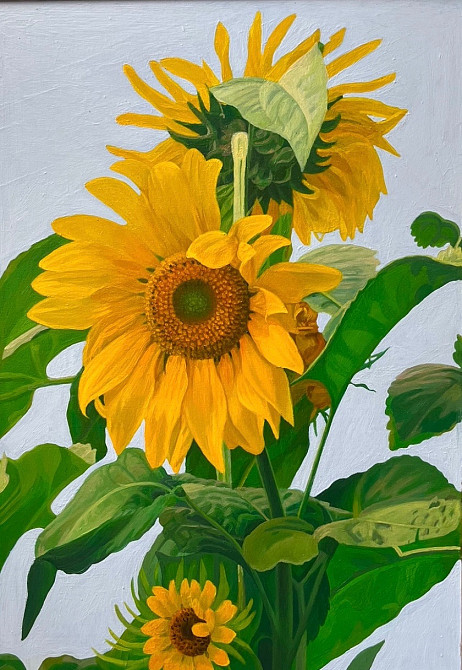 Професійні і оригінальні картини «Соняшники» Львів - зображення 2