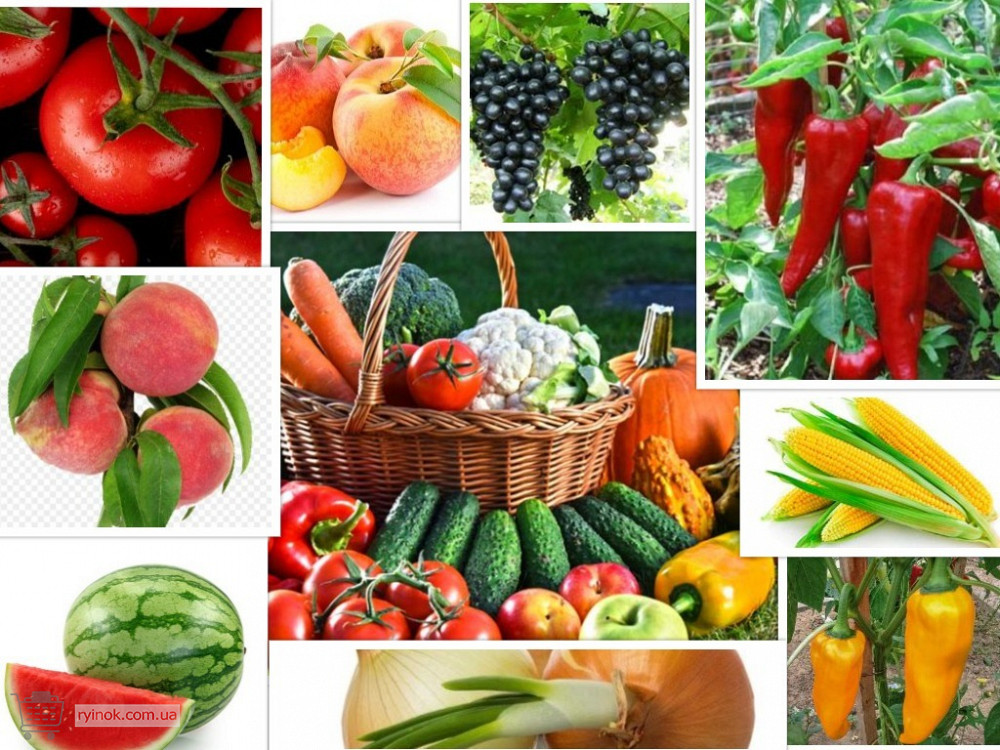 Регуляторы роста растений Одесса - изображение 2