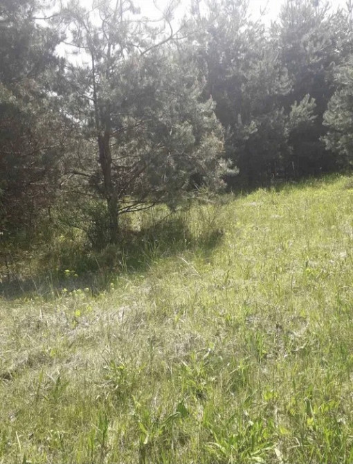 Земельна ділянка біля лісу, с.Козулька, Львівський р-н Жолква - изображение 1