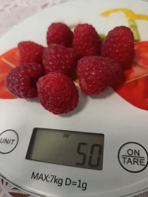 Саджанці малини ремонтантної Луцьк - зображення 7