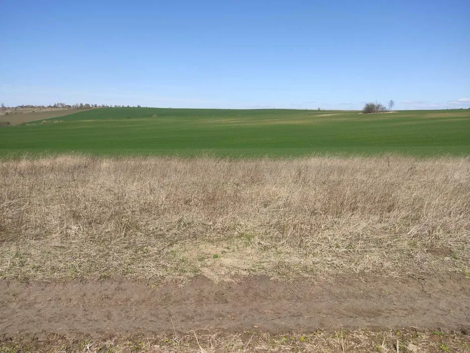 Продається земельна ділянка 12 соток у селі Поршна Львів - зображення 2