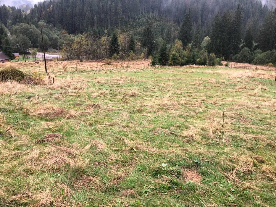 Продається унікальна земельна ділянка у с. Вишків, Калуський район Калуш - изображение 5