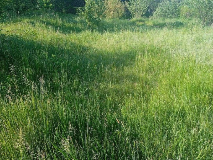 Продаю незавершене будівництво пром будівлі, ділянка 1, 5 га, Свалява Свалява - зображення 4