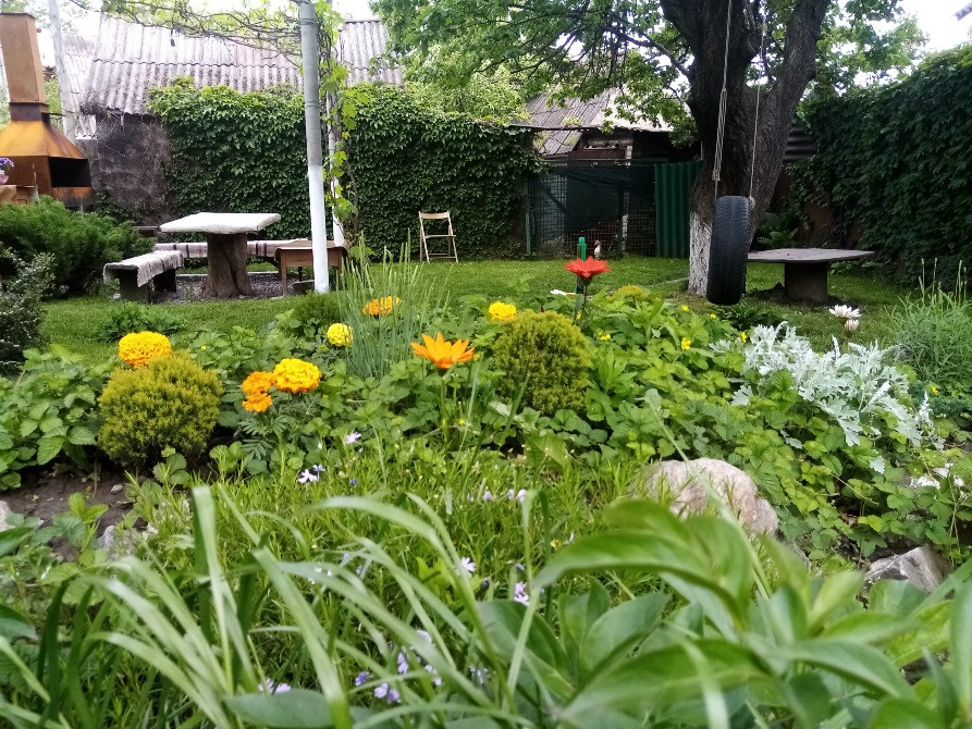 Продам будинок в м. Запоріжжя Запоріжжя - зображення 1