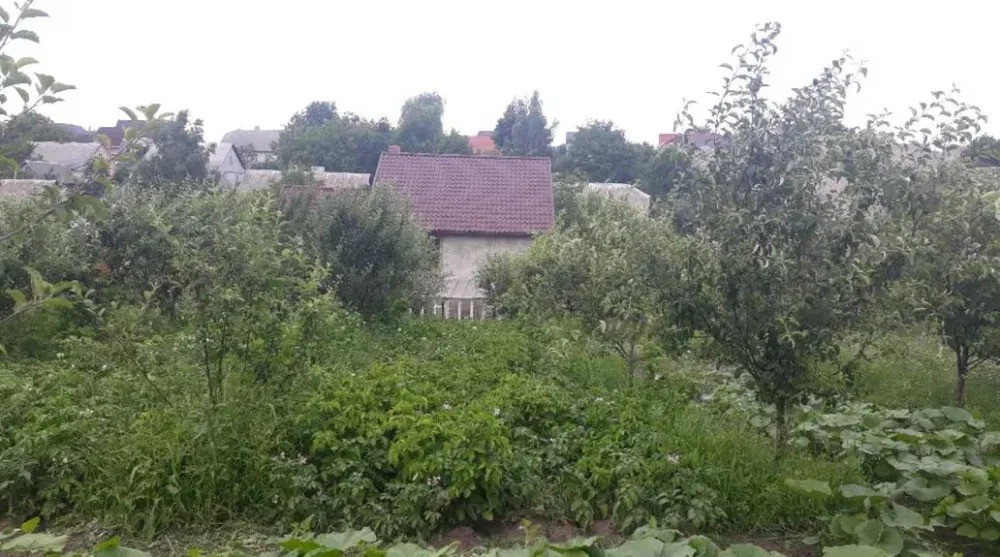 Продається будинок у місті Почаїв, поруч із Лаврою Почаїв - зображення 7