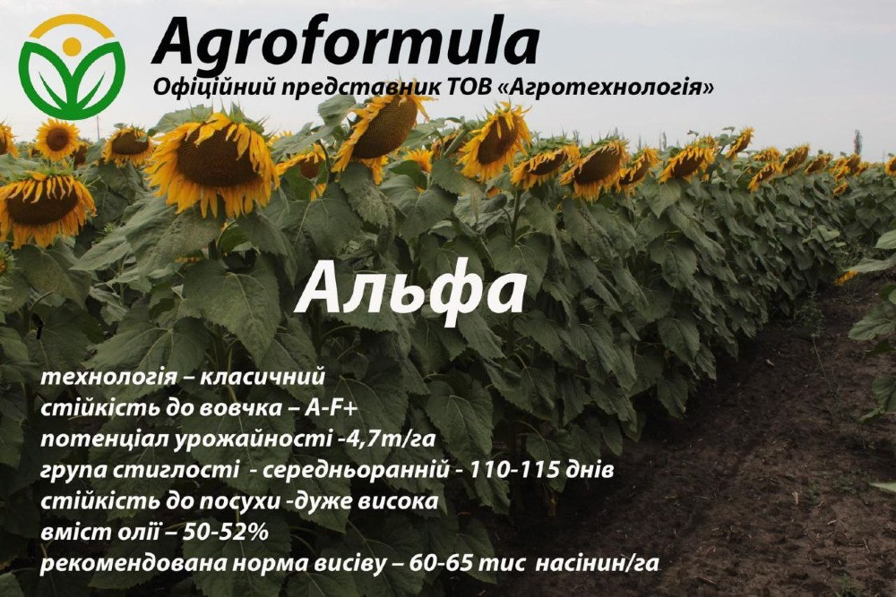 Пропонуємо мінеральні та мікродобрива, засоби захисту рослин, насіння Миргород - зображення 6