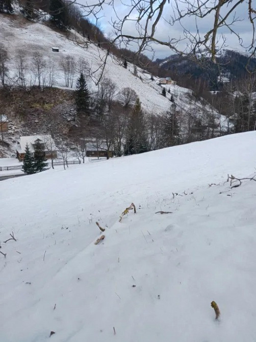 Продаж земельної ділянки в Карпатах – с. Буковець, Верховинський район Ивано-Франковск - изображение 1