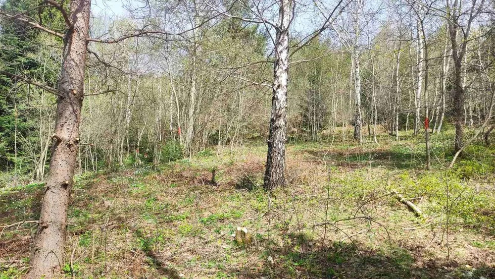 Продам земельну ділянку в м. Східниця під забудову — 9 сотих Борислав - изображение 6