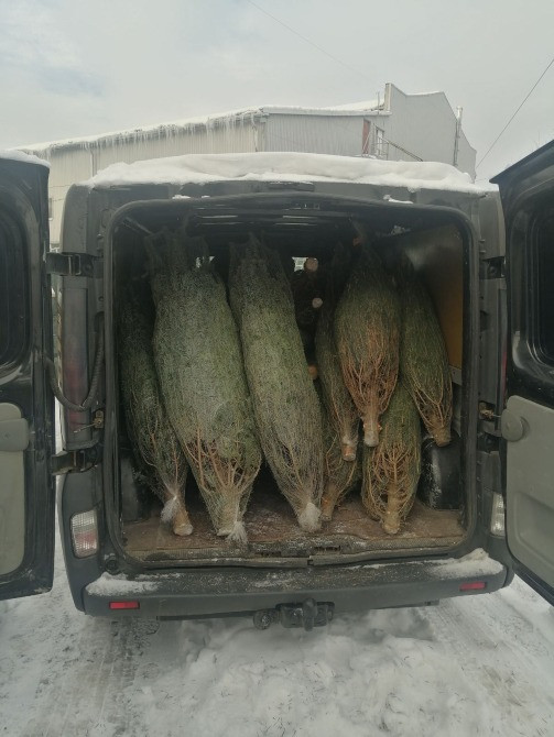 Вантажні перевезення Без посередників (Найдешевші Ціни!) Львів Львов - изображение 4