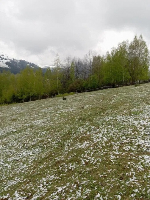 Продаж ділянки 94 сотки у Верховині, краєвид, комунікації Ивано-Франковск - изображение 3