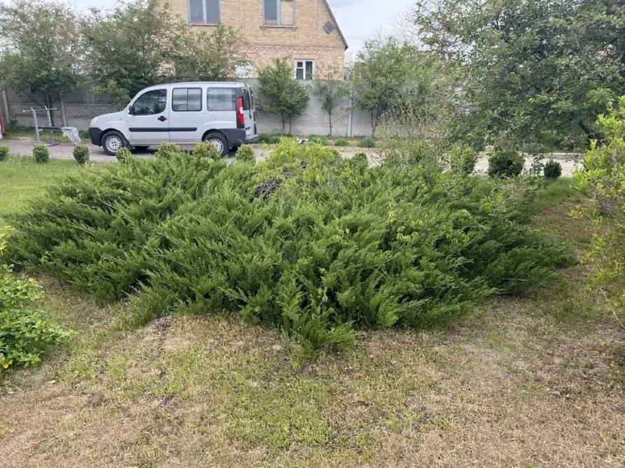 Село Забуччя, Києво-Святошинський р-н, продам будинок, ділянка 0.25 га Буча - зображення 7