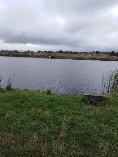 Продам будинок з великою ділянкою в с. Пилиповичі Бородянка - зображення 10