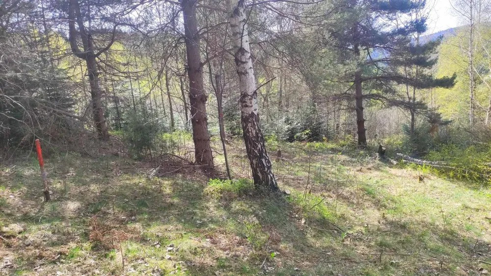 Продам земельну ділянку в м. Східниця під забудову — 9 сотих Борислав - изображение 3